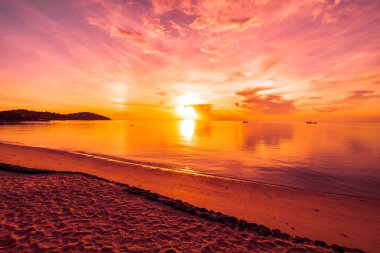 Günbatımı zaman tropik cennet ada plaj ve deniz ile Hindistan cevizi palmiye ağacı üzerinde tatil ve tatil için