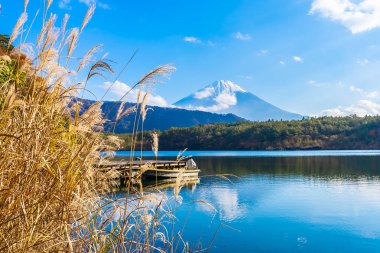 Güzel manzara dağ fuji göl Yamanashi Japonya akçaağaç ağaç yaprak ile