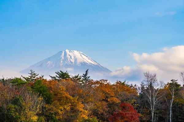 Bellissimo Paesaggio Montagna Fuji Con Acero Foglia Intorno Lago Nella — Foto Stock