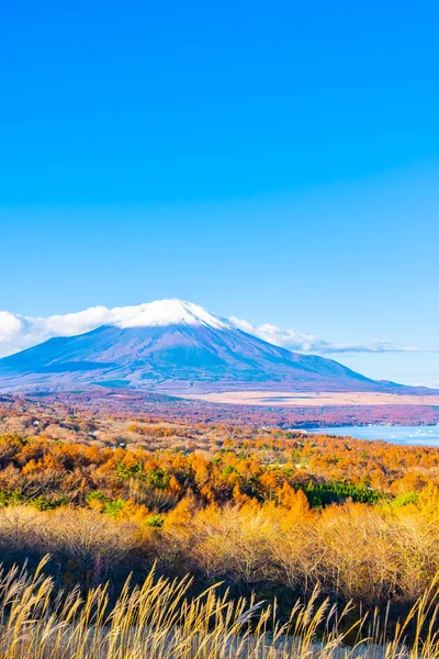 秋の季節に日本の山中湖や山中湖の富士山の美しい風景 — ストック写真