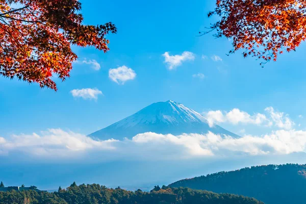 Piękny Krajobraz Góry Fuji Liścia Klonu Wokół Jeziora Yamanashi Japonia — Zdjęcie stockowe