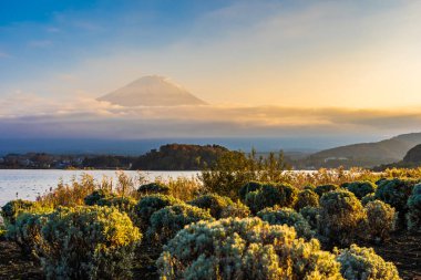Dağ fuji ile akçaağaç yaprağı ağacın etrafında güzel manzara