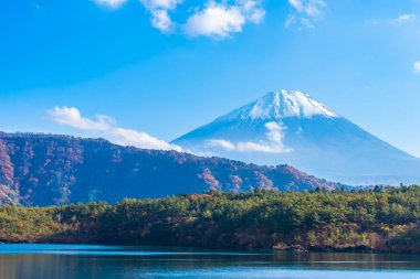 Dağ fuji ile akçaağaç yaprağı ağacın etrafında güzel manzara