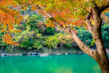 Akçaağaç ağaç yaprak ve etrafında tekne ile güzel Arashiyama Nehri 