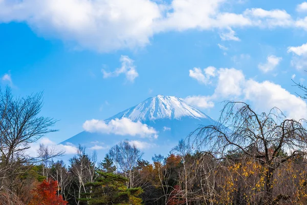 A hegyi fuji maple leaf fa körül gyönyörű táj — Stock Fotó