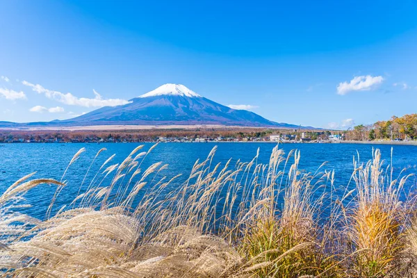 山富士山中湖の周りの美しい風景 — ストック写真