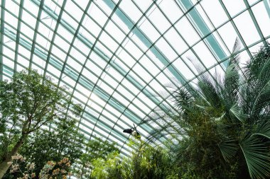 Çiçek kubbe Bahçesi ve greenhous bina güzel mimari