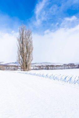 Güzel açık doğa manzara ağaç ken ve mary ile 