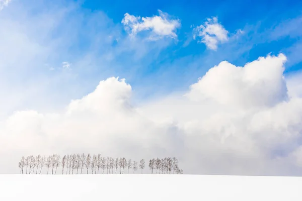 Vackra utomhus natur landskap med trädgren i grupp — Stockfoto