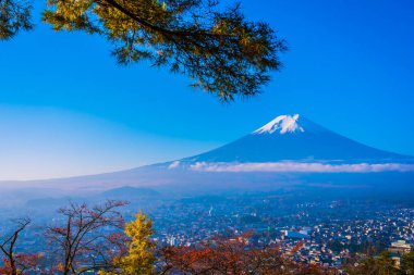 Güzel manzara dağ fuji akçaağaç yaprağı ağacında çevresinde bir