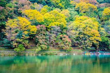 Akçaağaç ağaç yaprak ve etrafında tekne ile güzel Arashiyama Nehri 