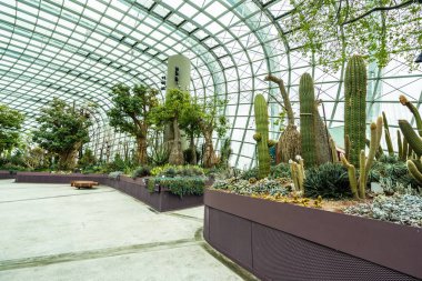 Çiçek kubbe Bahçe ve sera orman landmark Singapur City seyahat için bina güzel mimari