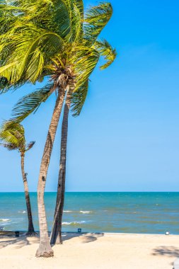 Güzel Coconut palm beach deniz ve okyanus seyahat etmek tatil ve eğlence kavramı için mavi gökyüzü üzerinde ağaç yaprak