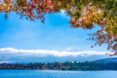 Dağ fuji ile akçaağaç yaprağı ağacın etrafında güzel manzara