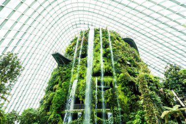 Çiçek kubbe Bahçe ve sera orman landmark Singapur City seyahat için bina güzel mimari