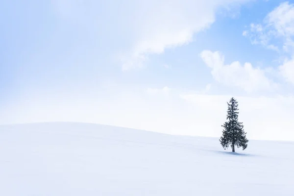 Hermoso Paisaje Naturaleza Aire Libre Con Solo Árbol Navidad Nieve — Foto de Stock