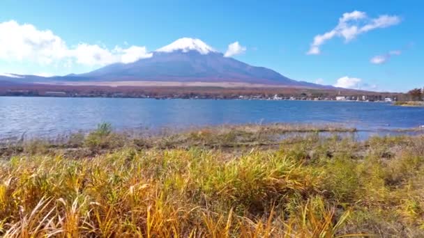 Güzel Dağ Fuji Japonya Doğal Görüntüleri — Stok video