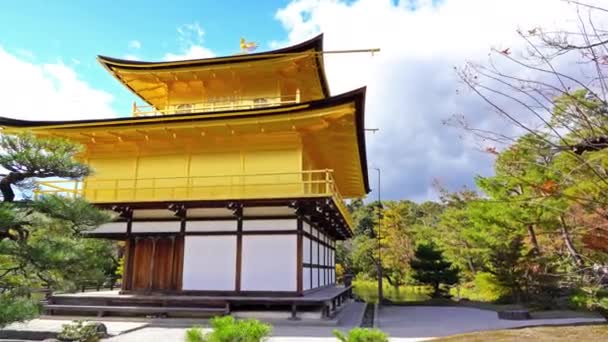 Látványos Felvételeket Gyönyörű Hagyományos Japán Pagoda — Stock videók