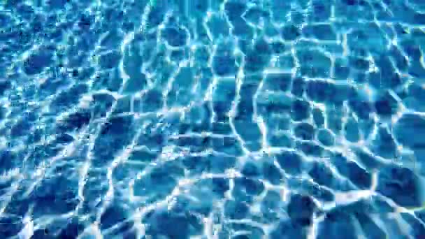 Yüzme Havuzu Full Frame Görüntüleri — Stok video