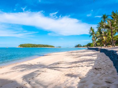 Güzel tropikal plaj ve deniz ile Hindistan cevizi hurma ağacı