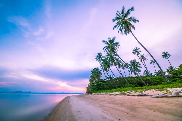 Bella spiaggia tropicale e mare con palma da cocco a Sunri — Foto Stock