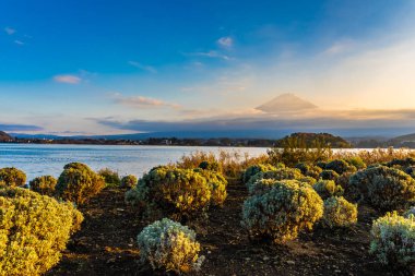 Dağ fuji ile akçaağaç yaprağı ağacın etrafında güzel manzara