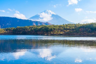 Dağ fuji ile akçaağaç yaprağı ağacın etrafında güzel manzara