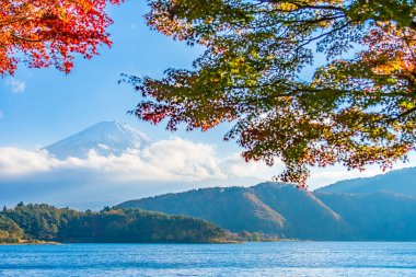 Dağ fuji ile akçaağaç yaprağı ağacın etrafında güzel manzara