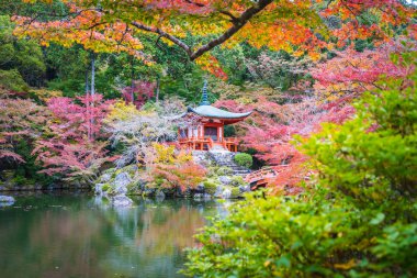 Güzel Daigoji Tapınağı ile renkli ağaç ve yaprak sonbahar s