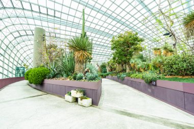 Çiçek kubbe Bahçesi ve greenhous bina güzel mimari