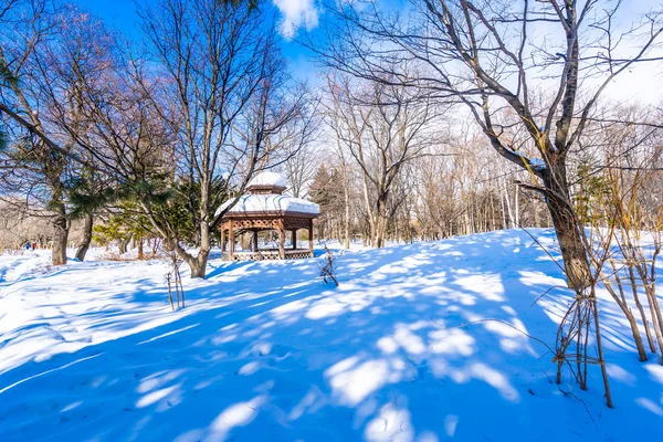 Beautiful landscape with tree in snow winter season — Stock Photo, Image