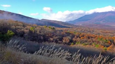güzel dağ Fuji, Japonya doğal görüntüleri