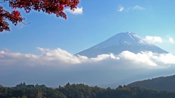 Γραφικό Βίντεο Του Πανέμορφού Βουνού Fuji Ιαπωνία — Αρχείο Βίντεο