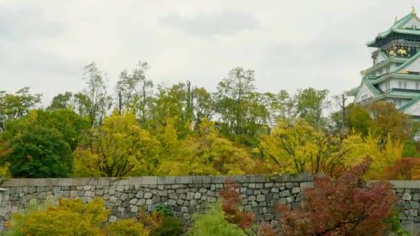 Vyhlídkové Záběry Nádherné Tradiční Japonské Pagody — Stock video