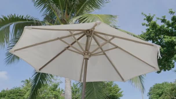 Images Gros Plan Parasol Sur Plage — Video