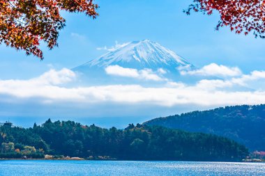 Dağ fuji akçaağaç yaprağı ağaç göl sonbahar sezonu ile güzel manzara