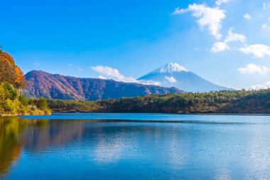 Güzel manzara dağ fuji göl Yamanashi Japonya akçaağaç ağaç yaprak ile
