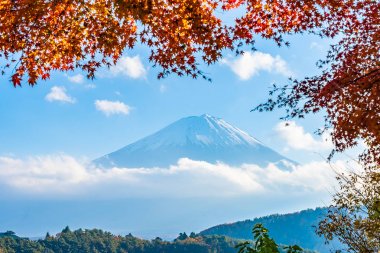 Güzel manzara dağ fuji göl Yamanashi Japonya akçaağaç ağaç yaprak ile