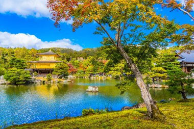 Güzel Kinkakuji Tapınağı Kyoto Japonya'nın Altın Köşk Simgesel Yapı ile