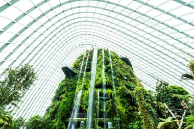 Çiçek kubbe Bahçe ve sera orman landmark Singapur City seyahat için bina güzel mimari