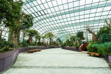 Çiçek kubbe Bahçe ve sera orman landmark Singapur City seyahat için bina güzel mimari