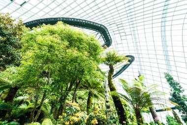 Çiçek kubbe Bahçe ve sera orman landmark Singapur City seyahat için bina güzel mimari