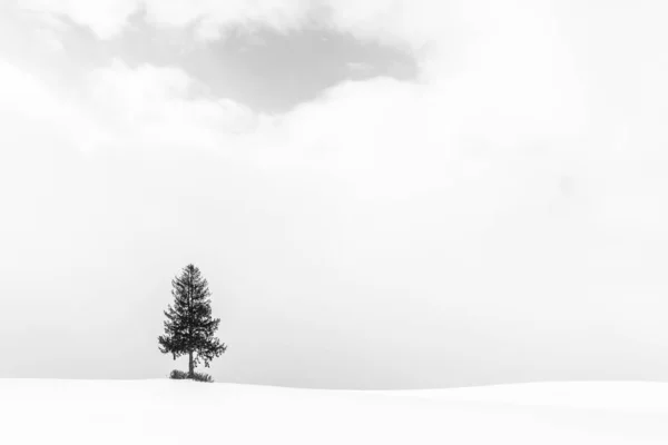 Schöne Outdoor Landschaft Mit Einsamen Weihnachtsbaum Schnee Wintersaison Verarbeitung Schwarz — Stockfoto