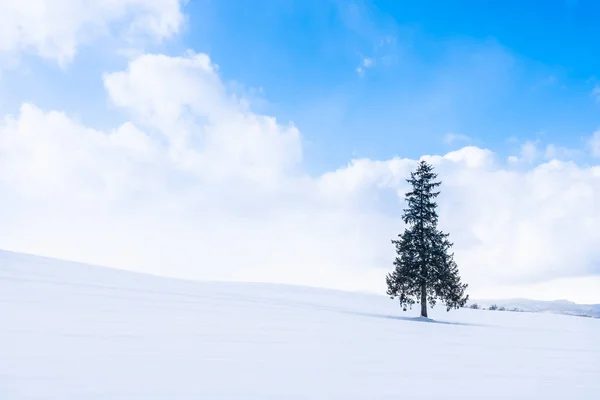 Hermoso Paisaje Naturaleza Aire Libre Con Solo Árbol Navidad Nieve — Foto de Stock