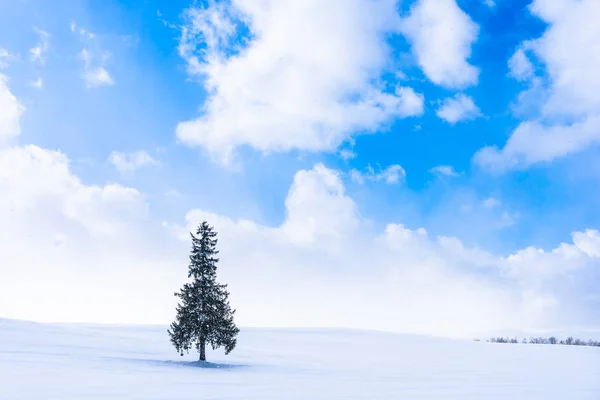 Gyönyörű Szabadtéri Természeti Táj Egyedül Karácsonyi Téli Időjárás Szezonban Sky — Stock Fotó