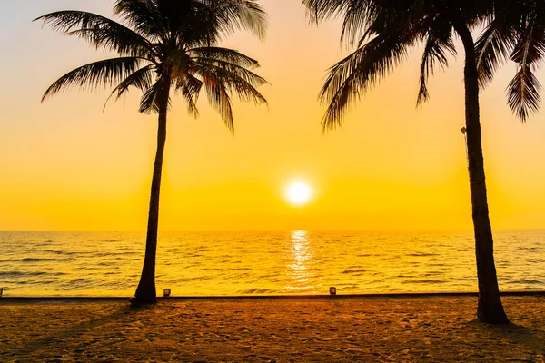 美丽的剪影椰子棕榈树在天空接近海洋海滩在日落或日出时间为休闲旅行和度假概念 — 图库照片