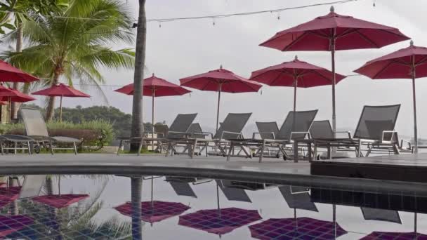 Scenic Footage Swimming Pool Resort — Stock Video