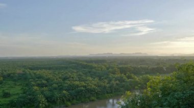 güzel tropikal yağmur ormanlarının havadan görüntüleri