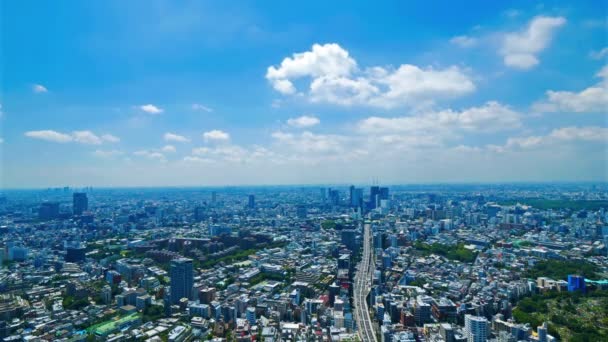 Tempo Lapso Filmagem Bela Moderna Cidade Asiática — Vídeo de Stock