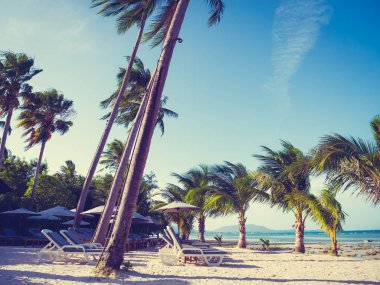 Şemsiye ve plaj ve okyanus mavi gökyüzü ile sandalyeye